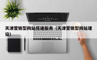 莱州天津营销型网站搭建服务（天津营销型网站建设）